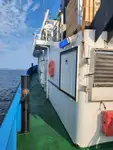 เรือลาก สำหรับขาย