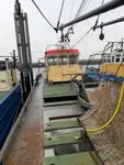 เรือลากอวน สำหรับขาย
