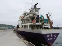 General Cargo/Multi-purpose สำหรับขาย