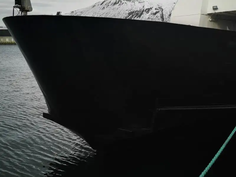 เรือบรรทุกสินค้าแบบ Ro-Ro สำหรับขาย
