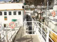 เรือลากอวนแบบ Longliner สำหรับขาย