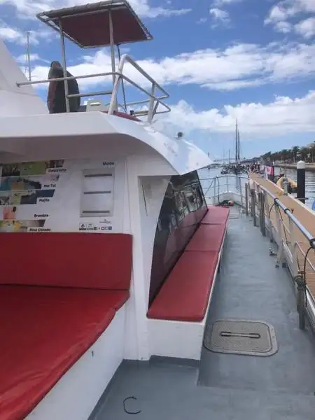 เรือสองลำ (Catamaran) สำหรับขาย