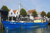 Trawler สำหรับขาย