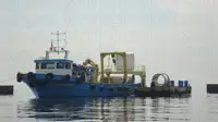 เรือโยง สำหรับขาย