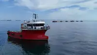 เรือทำงาน สำหรับขาย