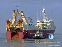 เรือลากอวน สำหรับขาย