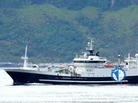 เรือลากอวน สำหรับขาย