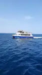 เรือใบ สำหรับขาย