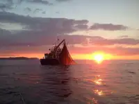เรือลากอวน สำหรับขาย