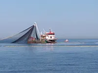เรือประมง สำหรับขาย