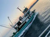 เรือลากอวนจับปลา สำหรับขาย