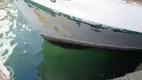 เรือลากอวน สำหรับขาย