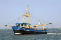 เรือลากอวน สำหรับขาย