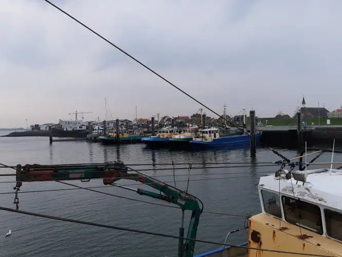เรือลากอวน สำหรับขาย