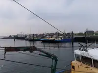 เรือลากอวน สำหรับขาย