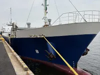 General Cargo/Multi-purpose สำหรับขาย