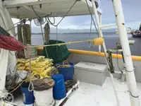 เรือลากอวน สำหรับขาย