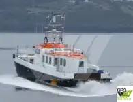 Wind farm service vessel สำหรับขาย