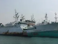 เรือลากอวนแบบ Longliner สำหรับขาย