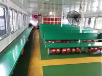 เรือเฟอร์รี่ สำหรับขาย