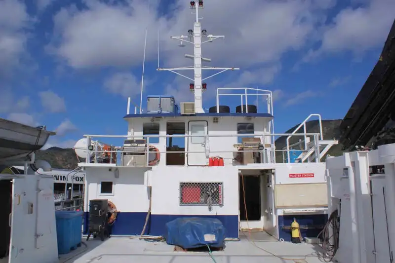 เรือสองลำ (Catamaran) สำหรับขาย