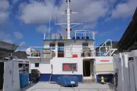 เรือสองลำ (Catamaran) สำหรับขาย