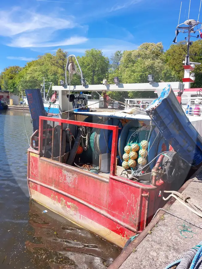 เรือบรรทุกปลาเป็น สำหรับขาย