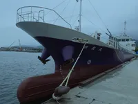 General Cargo/Multi-purpose สำหรับขาย