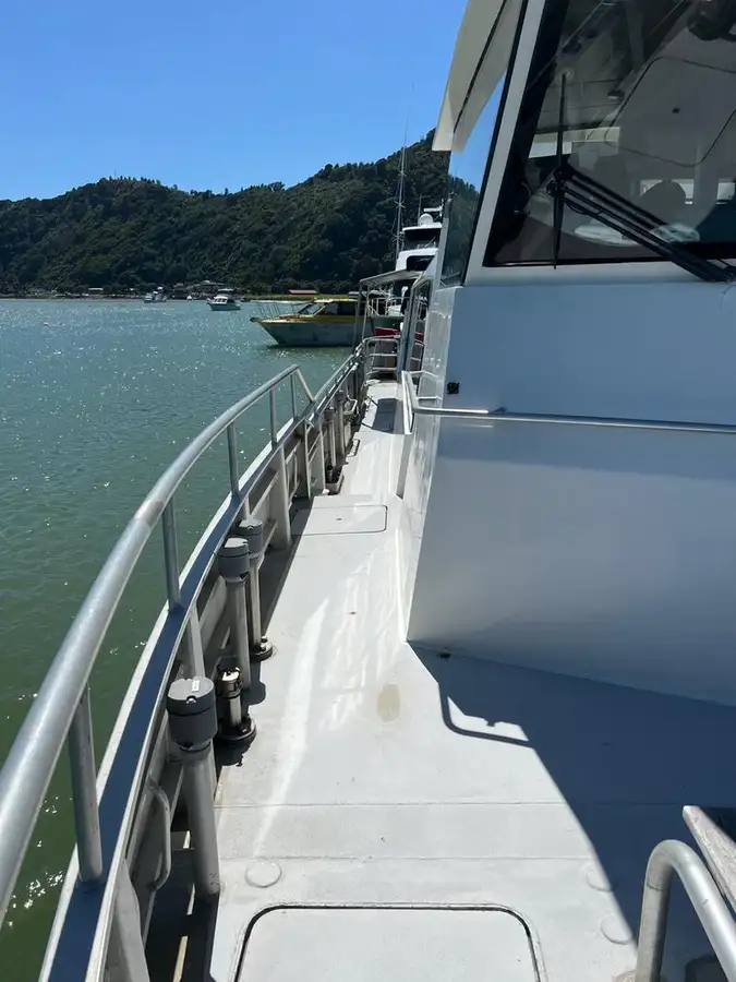 เรือสองลำ (Catamaran) สำหรับขาย