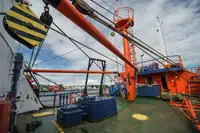 เรือบรรทุกตู้คอนเทนเนอร์ สำหรับขาย