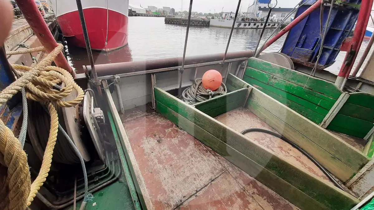 เรือบรรทุกปลาเป็น สำหรับขาย