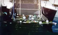 เรือทำงาน สำหรับขาย