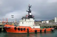 เรือลาก สำหรับขาย