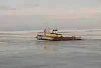 เรือโยง สำหรับขาย