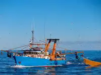 Trawler สำหรับขาย