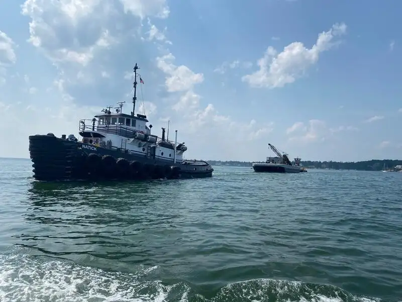 เรือลาก สำหรับขาย