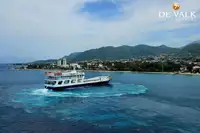 เรือเฟอร์รี่ สำหรับขาย