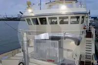 เรือบรรทุกปลาเป็น สำหรับขาย