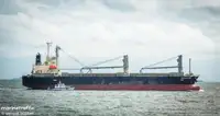 เรือบรรทุกสินค้าทั่วไป (Bulk Carrier) สำหรับขาย