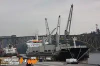เรือบรรทุกสินค้าทั่วไป (Bulk Carrier) สำหรับขาย
