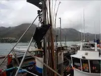 เรือลากอวน สำหรับขาย