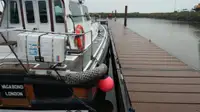 เรือนำร่อง สำหรับขาย