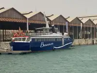 เรือเฟอร์รี่ สำหรับขาย