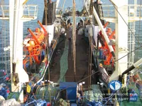 เรือลากอวน สำหรับขาย