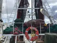 เรือลากอวน สำหรับขาย