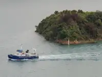 เรือสองลำ (Catamaran) สำหรับขาย