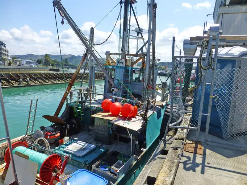 เรือลากอวน สำหรับขาย