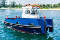 เรือทำงาน สำหรับขาย