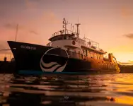 เรือสำรวจ สำหรับขาย