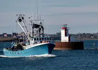 Purse seiner สำหรับขาย